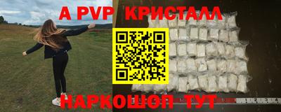 ECSTASY Канаш