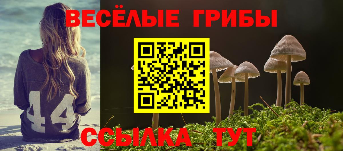Кузнецк  купить  сайты  Галлюциногенные грибы Cubensis  Вход с VPN  Псилоцибиновые грибы GOLDEN TEACHER 