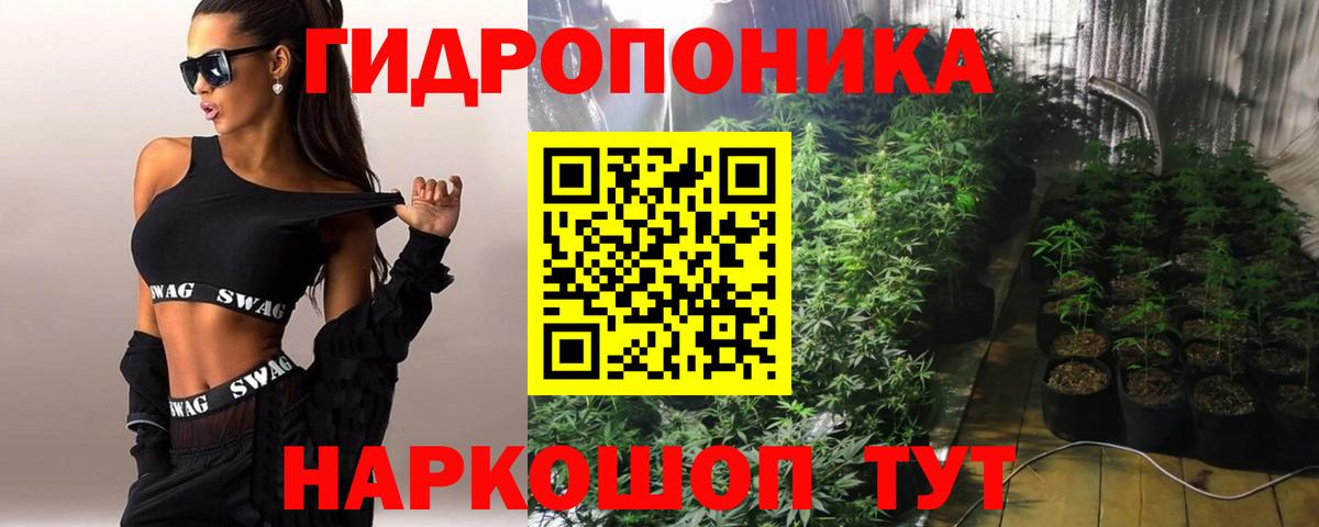Каннабис конопля  Вход с VPN  Канабис план  Бошки марихуана SATIVA & INDICA  Кузнецк 